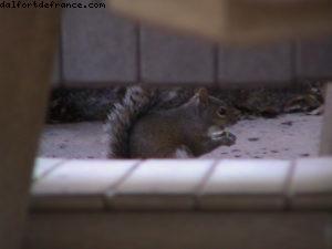 Typhoon Lagoon - Orlando