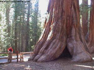 Yosemite National Park