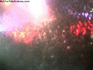 Mannequin Palace - Downtown Disney - Gaydays Orlando