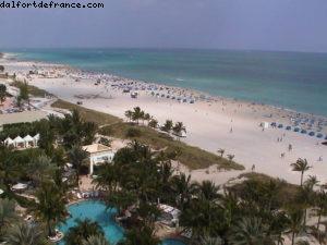 Royal Palm - Miami Beach