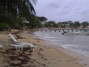 Roatan - Notre 2eme croisière RSVP (à Bord de l'Oosterdam)