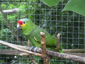 Roatan - Notre 2eme croisière RSVP (à Bord de l'Oosterdam)
