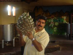 Puerto Vallarta - Notre 3eme croisière RSVP (à bord de l'Oosterdam)