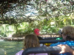 Universal Studios - Los Angeles