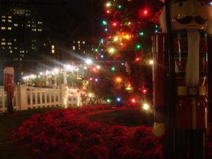 Dolphin Hotel - Walt Disney World