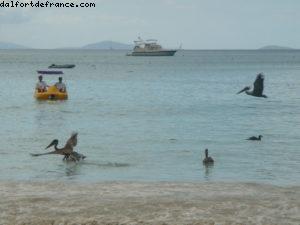 Tortola - Our 4th RSVP Cruise (Westerdam)