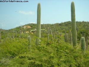 Aruba - Notre 2eme croisière Atlantis (à bord du Celebrity Constellation)