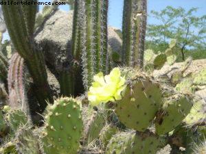 Aruba - Notre 2eme croisière Atlantis (à bord du Celebrity Constellation)