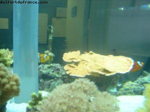 Epcot - Disney Gaydays - Walt Disney World