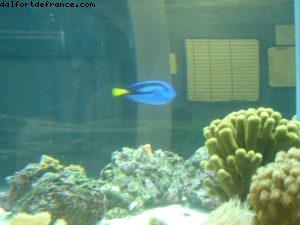 Epcot - Disney Gaydays - Walt Disney World