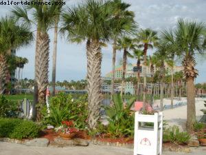 Hôtel Dolphin - Walt Disney World