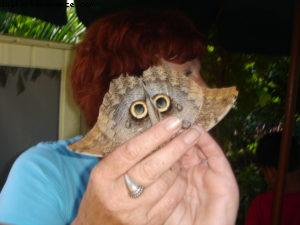 Grand Cayman Island - Our 11th Cruise (Explorer of the seas)