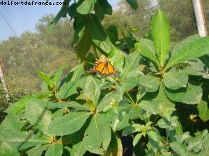 Grand Cayman Island - Our 11th Cruise (Explorer of the seas)