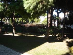 Hôtel Sheraton Pine Cliffs Algarve - Albufeira