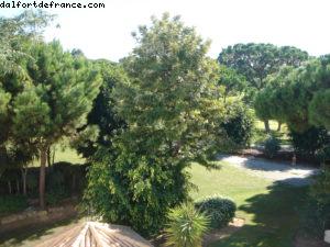 Hôtel Sheraton Pine Cliffs Algarve - Albufeira