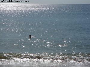 Hôtel Sheraton Pine Cliffs Algarve - Albufeira