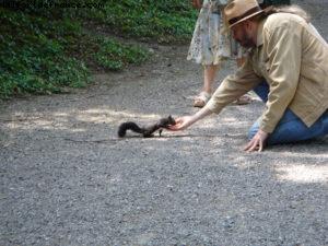 Château de Schönbrunn - Vienne