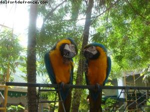 Grand Cayman - Notre 6eme croisière Atlantis (à bord du Navigator of the Seas)