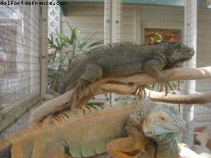 Grand Cayman - Notre 6eme croisière Atlantis (à bord du Navigator of the Seas)