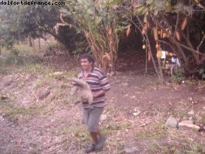 Limon - Notre 5eme croisière RSVP (à bord du Westerdam)