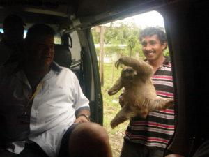 Limon - Notre 5eme croisière RSVP (à bord du Westerdam)