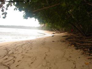 Limon - Notre 5eme croisière RSVP (à bord du Westerdam)