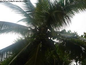 Limon - Notre 5eme croisière RSVP (à bord du Westerdam)