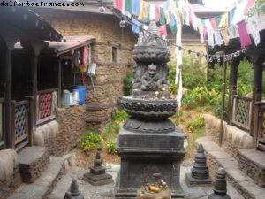 Animal Kingdom - Gaydays - Walt Disney World