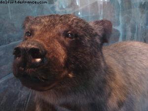 Juneau - Notre 7eme croisière Atlantis (à bord du Celebrity Infinity)