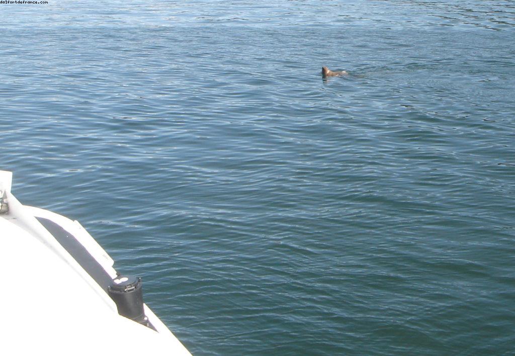 Juneau - Notre 7eme croisière Atlantis (à bord du Celebrity Infinity)