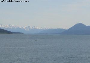 Juneau - Notre 7eme croisière Atlantis (à bord du Celebrity Infinity)