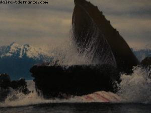 Juneau - Notre 7eme croisière Atlantis (à bord du Celebrity Infinity)