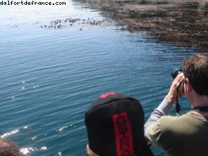 Sitka - Notre 7eme croisière Atlantis (à bord du Celebrity Infinity)
