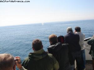 Sitka - Notre 7eme croisière Atlantis (à bord du Celebrity Infinity)