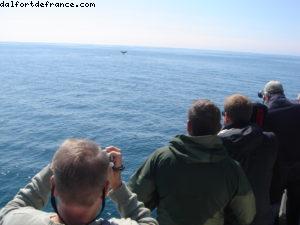 Sitka - Notre 7eme croisière Atlantis (à bord du Celebrity Infinity)