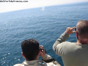 Sitka - Notre 7eme croisière Atlantis (à bord du Celebrity Infinity)