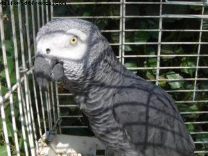 Rhodes - Our 8th Atlantis cruise (Brilliance of the Seas)