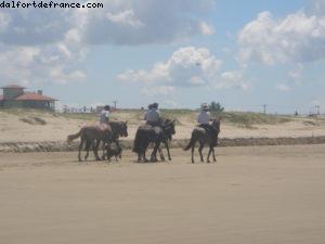 Rio Grande do Sul - Notre 12eme croisière Atlantis (à bord de l'Oceania Insigna)
