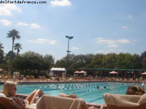 Hôtel Dolphin - Walt Disney World