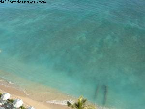 Hôtel Sheraton Waikiki - Honolulu