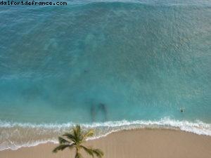 Hôtel Sheraton Waikiki - Honolulu