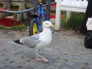 Warnemunde - Notre 14eme croisière Atlantis (à bord du Celebrity Constellation)
