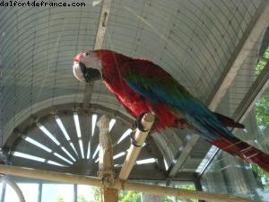 Peterhoff- St Petersbourg - Notre 14eme croisière Atlantis (à bord du Celebrity Constellation)
