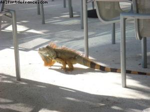 Puerto Vallarta - Notre 18eme Atlantis