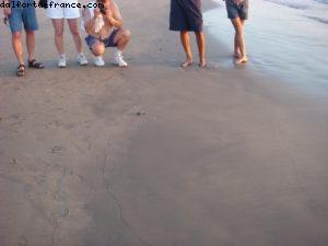 Puerto Vallarta - Notre 18eme Atlantis