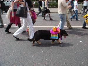 La Gaypride de Paris
