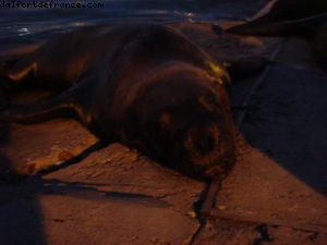 Punta Del Este - Uruguay - Notre 20eme croisière Atlantis (à bord du Celebrity Infinity)