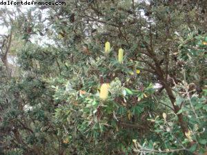 Manly Beach - Sydney