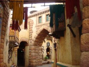 DisneySeas - Disneyland Tokyo