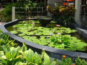 Hôtel Holiday Inn - Patong - Phuket